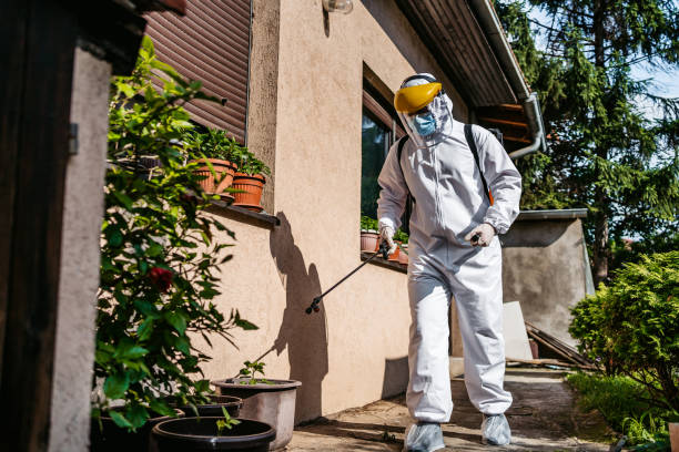 Professional Pest Control in Grape Creek, TX