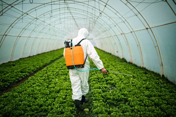 Best Mosquito Control Services  in Grape Creek, TX