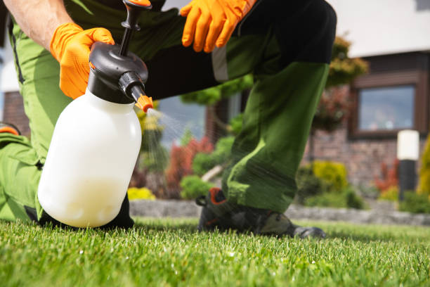 Best Commercial Pest Control Services  in Grape Creek, TX