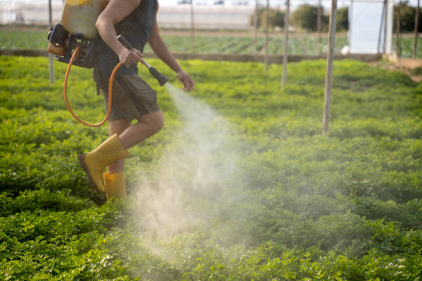 Best Cockroach Control Services  in Grape Creek, TX