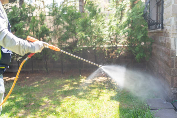 Best Emergency Pest Control  in Grape Creek, TX