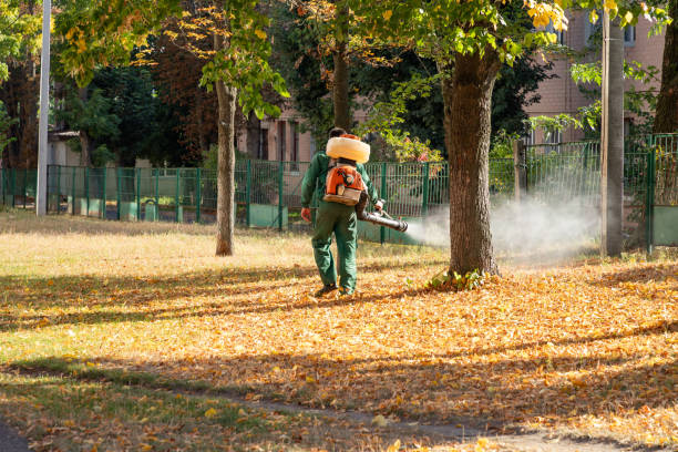 Best Insect Control  in Grape Creek, TX