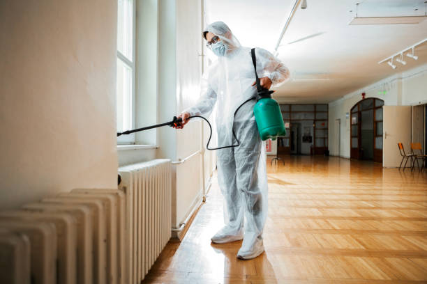 Best Pest Removal Services  in Grape Creek, TX