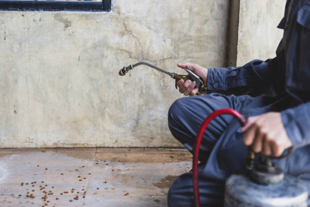 Best Best Pest Control Companies  in Grape Creek, TX
